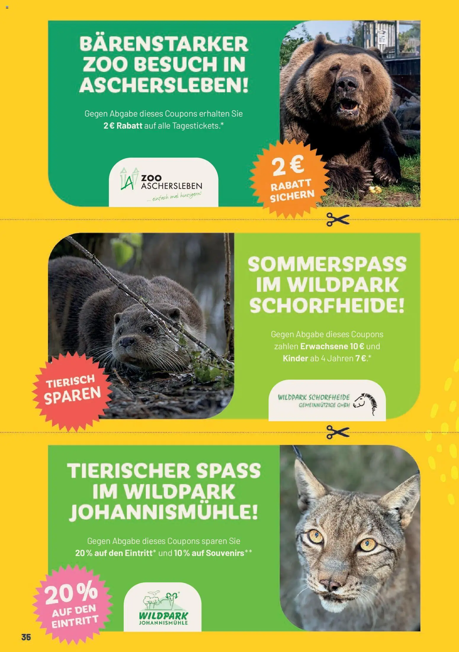 Edeka Super Sommer Spar-Pass 2026 – gültig ab 23.08.2026 | Seite: 36