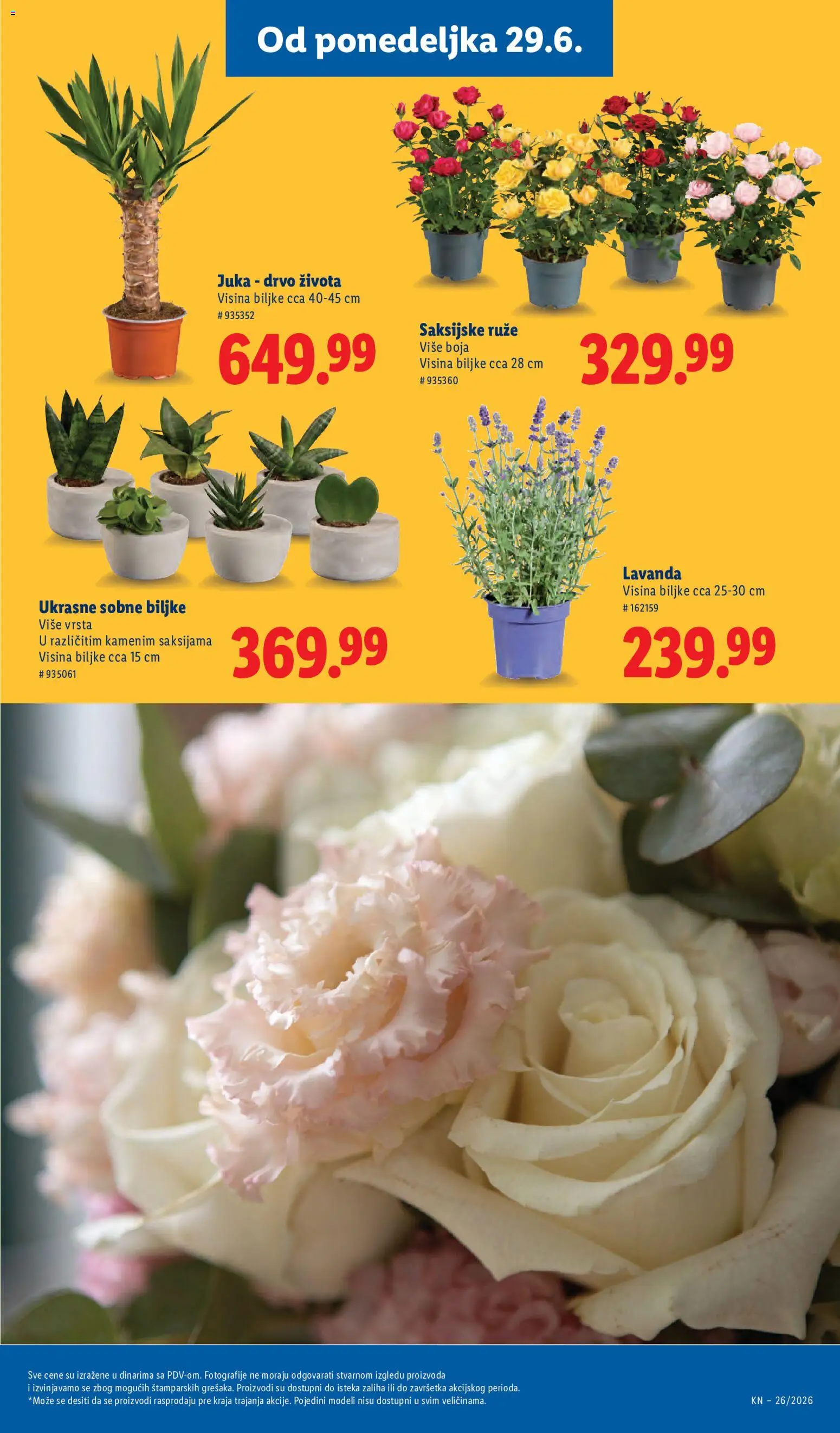 Lidl katalog - važi od 25.06.2026 | Strana: 75