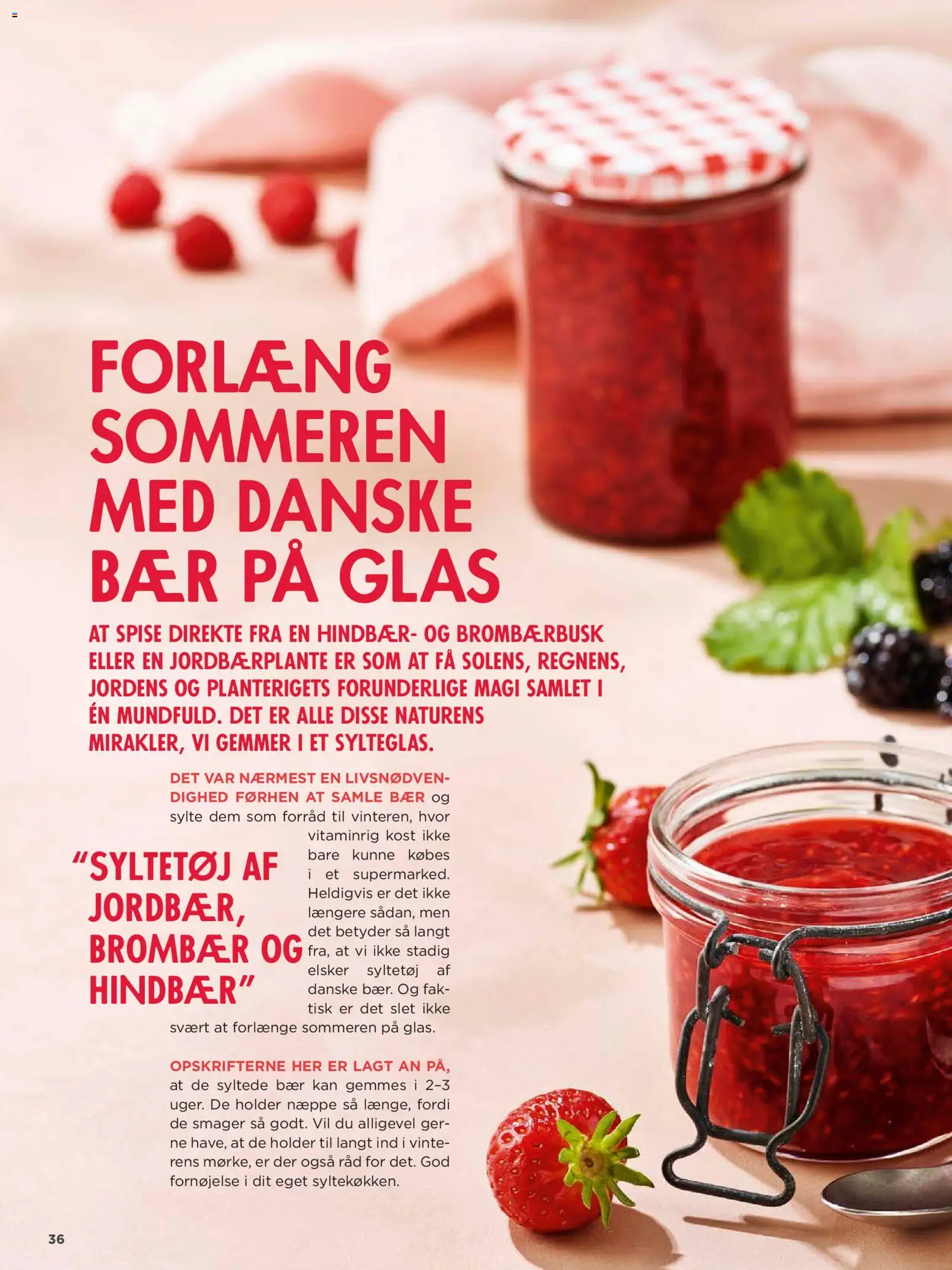 Meny tilbudsavis – gyldig fra 31/07/2026 | Side: 36 | Produkter: Hindbær, Syltetøj, Søm
