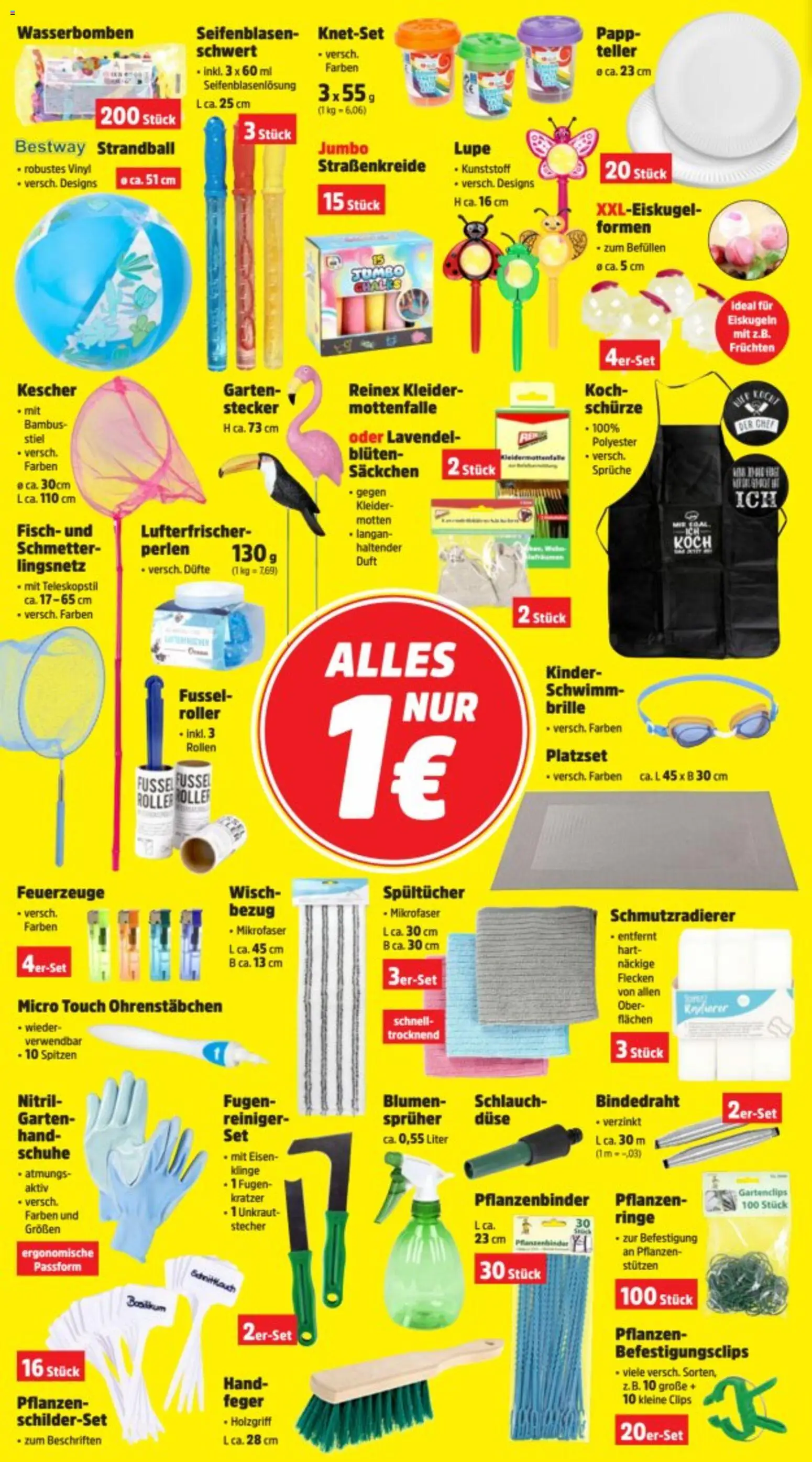 Thomas Philipps Prospekt – gültig ab 26.05.2026 | Seite: 12 | Produkte: Blumen, Fisch, Lavendel, Brille