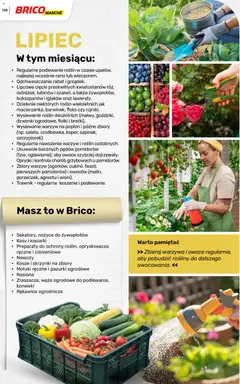 Pogląd oferty "Brico Marché gazetka - Wiosna" - ważna od 04.03.2026 | Strona: 128 | Produkty: Nasiona, Rosliny, Warzywa, Owoce