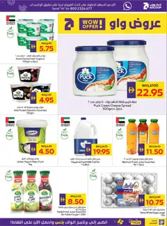 Preview of Abu Dhabi Coop catalogue valid from 23 Jul, 2026 | Page: 10 | Products: Pivo, Vajcia, Lavastoviglie, Котлон