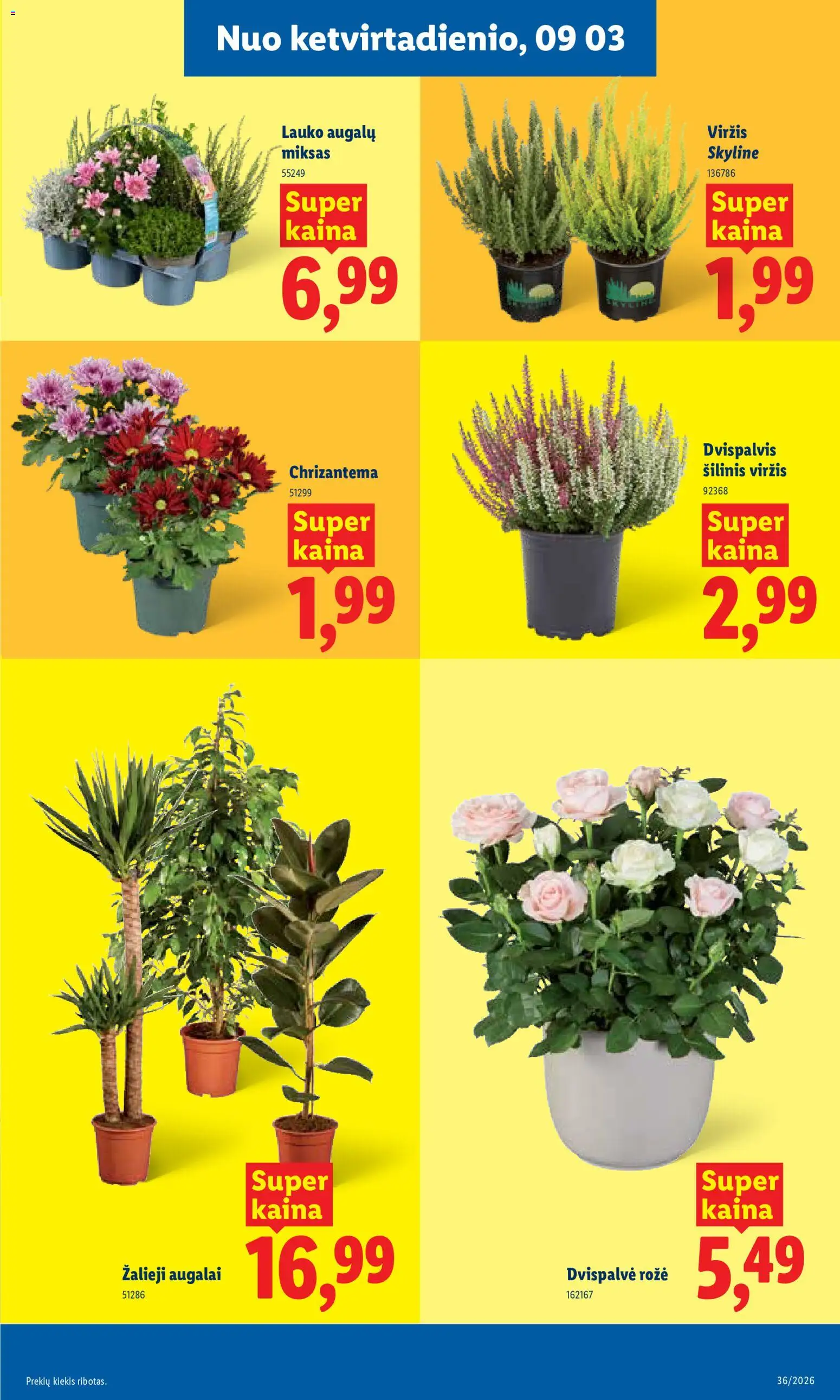 LIDL akcijos nuo 2026.08.31 | Puslapis: 7