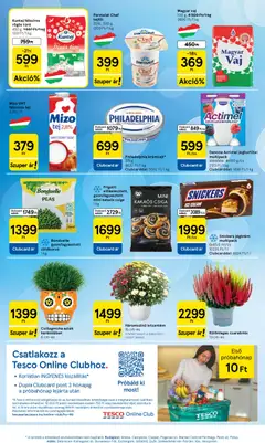 Tesco aktuális akciós újság - amely érvényes a következő dátumtól: 2026.10.08. | Oldal: 5