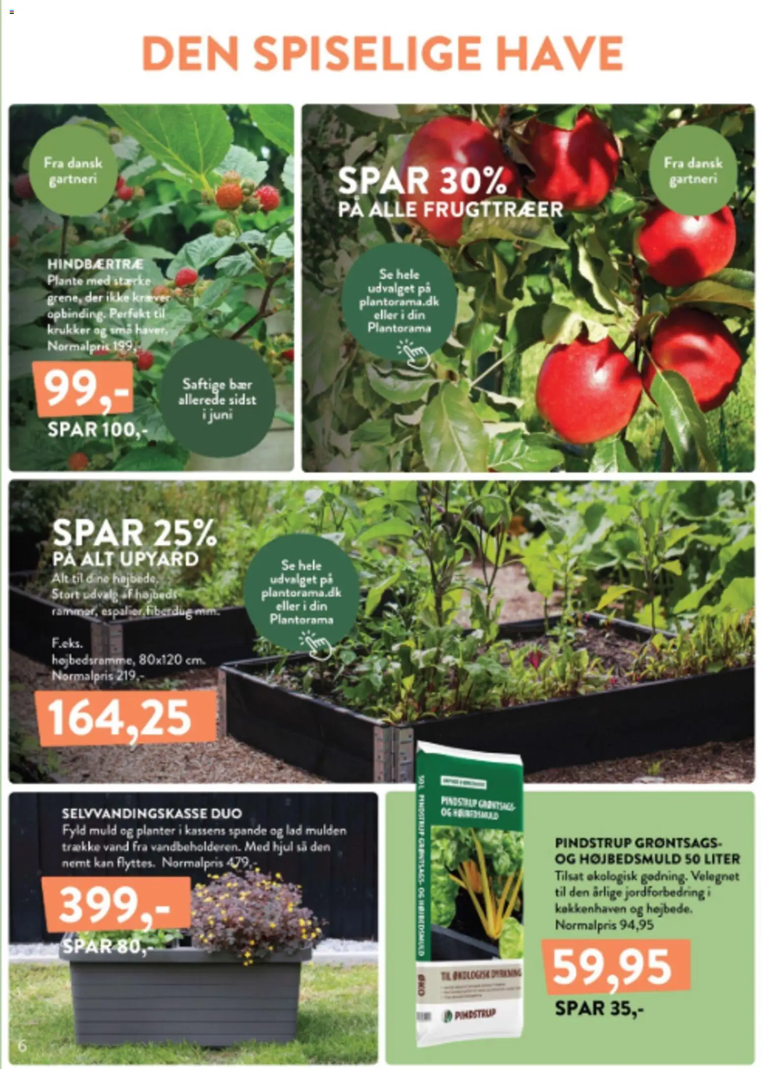 Plantorama tilbudsavis – gyldig fra 04.06.2026 | Side: 6