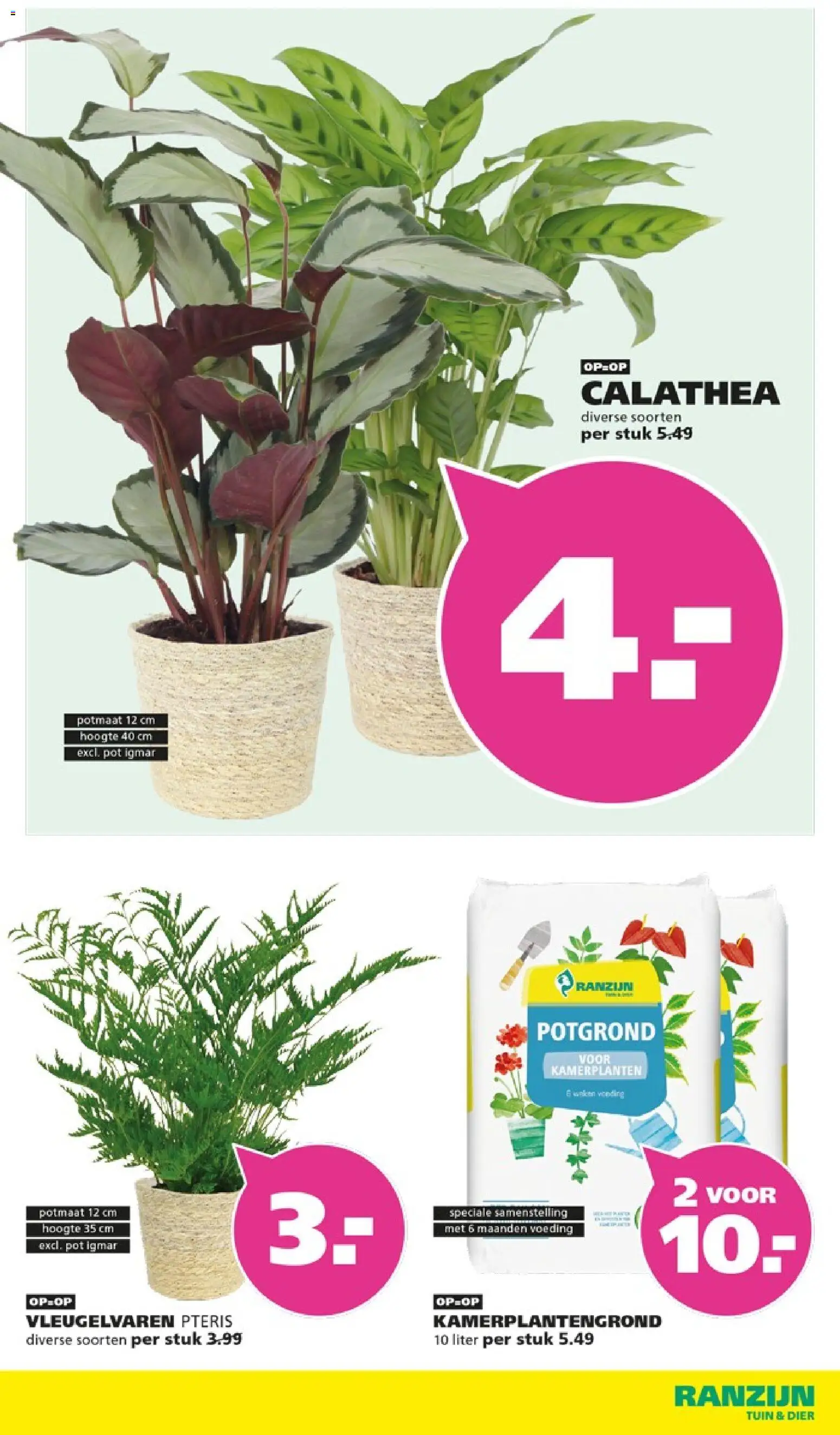 {H1} | Pagina: 13 | Producten: Pot, Potgrond, Kamerplanten