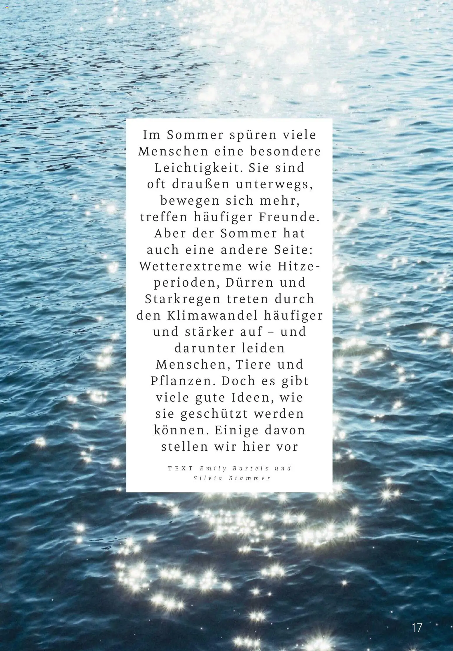 Rossmann Centaur – gültig ab 01.08.2026 | Seite: 17