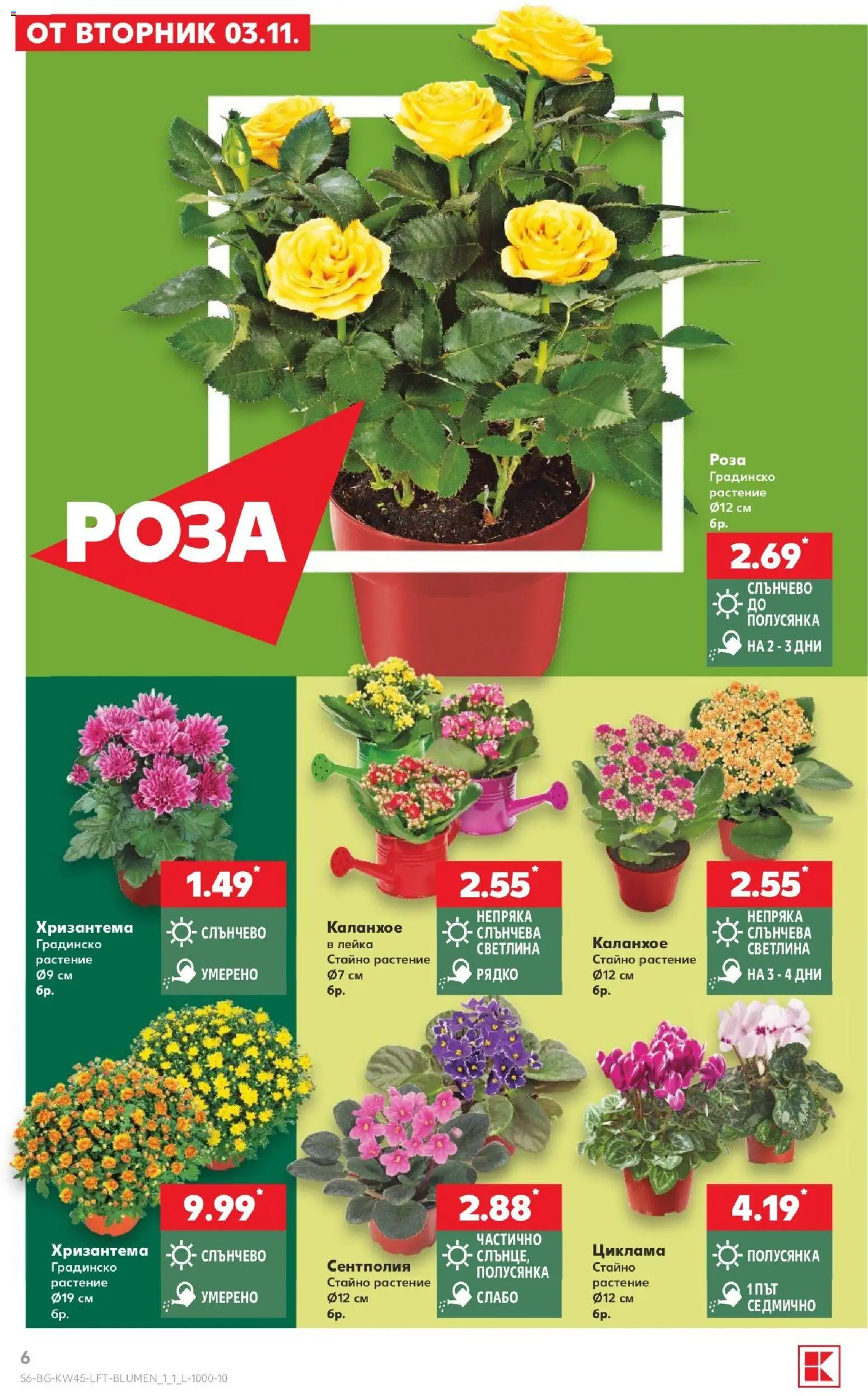 {H1} | Страница: 6 | Продукти: Хризантема, Роза, Лейка