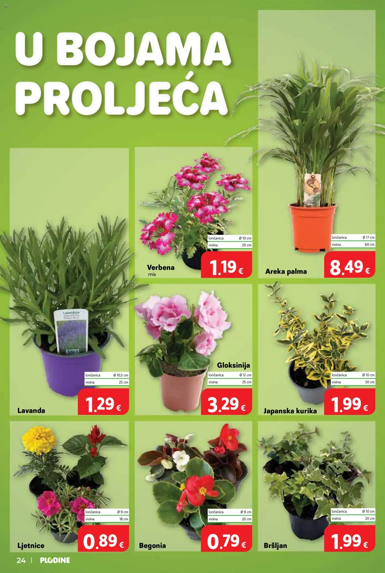 Plodine katalog | vrijedi od 13.05.2026 | Stranica: 24