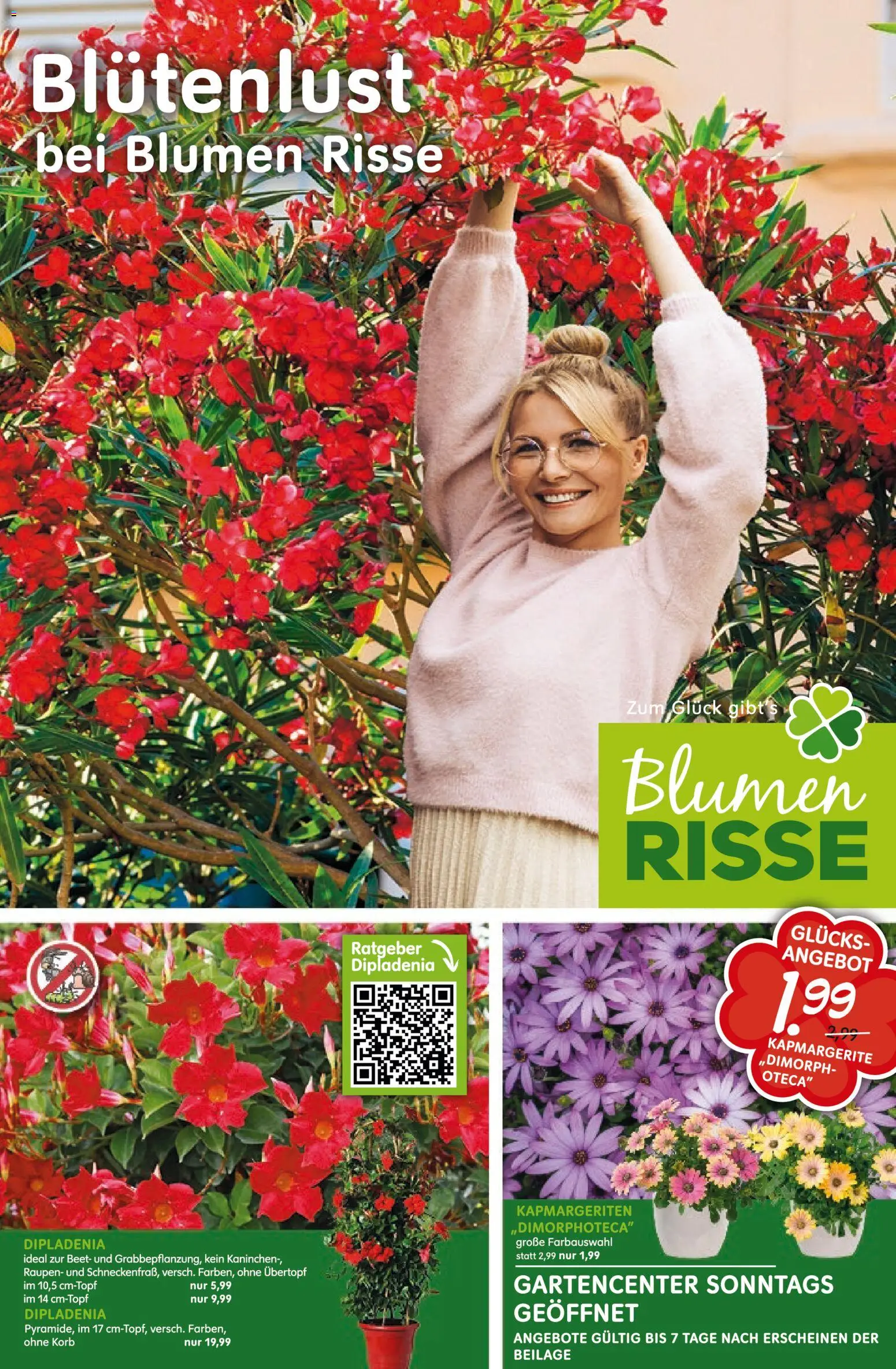 Blumen Risse Prospekt – gültig ab 28.05.2026 | Seite: 1 | Produkte: Kaninchen, Korb, Blumen