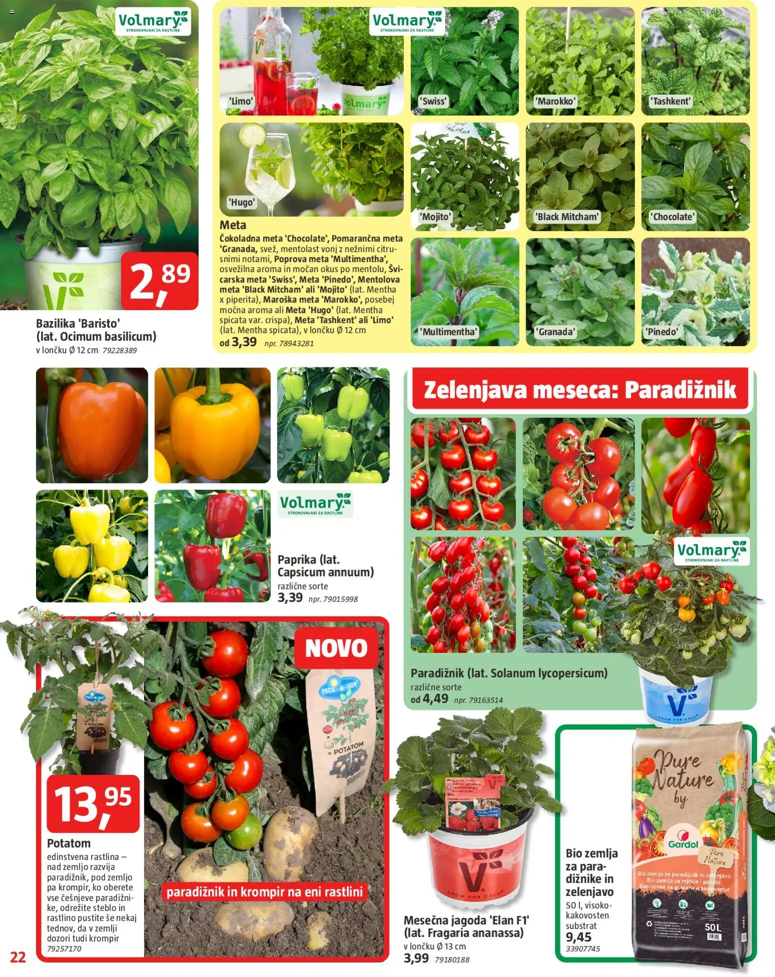 Novi Bauhaus katalog ponudbe – veljaven od 29.04.2026 | Stran: 22 | Izdelki: Žemlja, Paprika, Paradiznik, Zelenjava