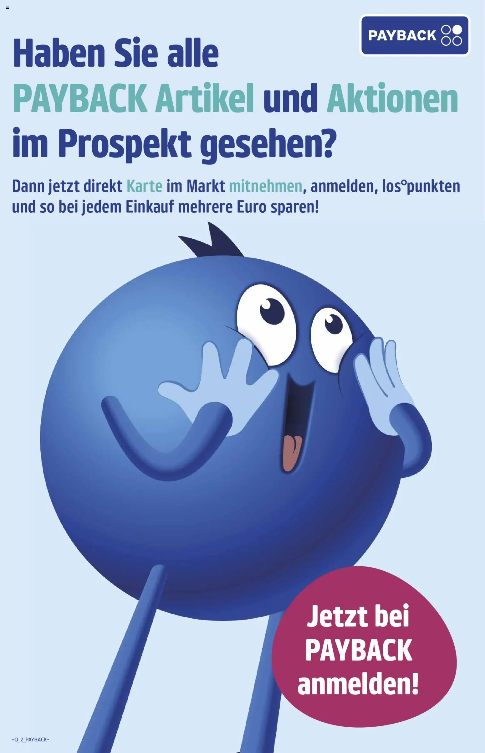WEZ Prospekt – gültig ab 29.06.2026 | Seite: 17