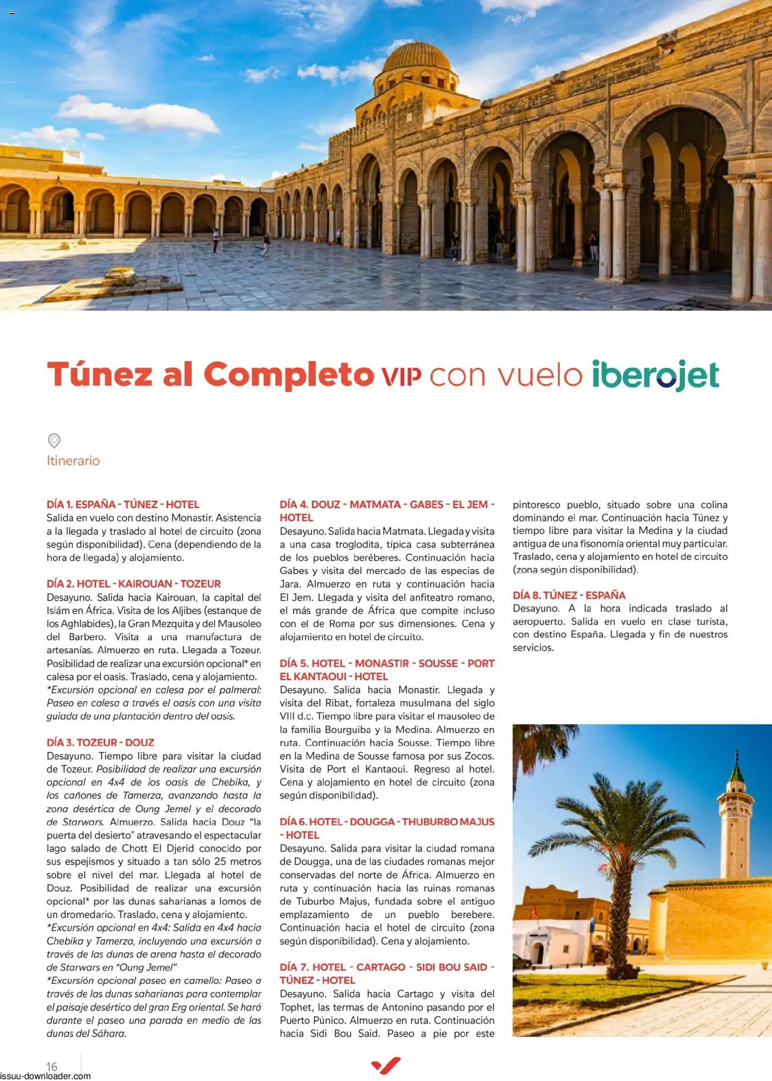 Halcón Viajes Túnez │ válido desde el 08/07/2026 | Página: 16