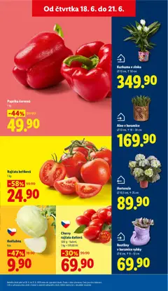 Náhled letáku Lidl leták od 18.06.2026 | Strana: 9