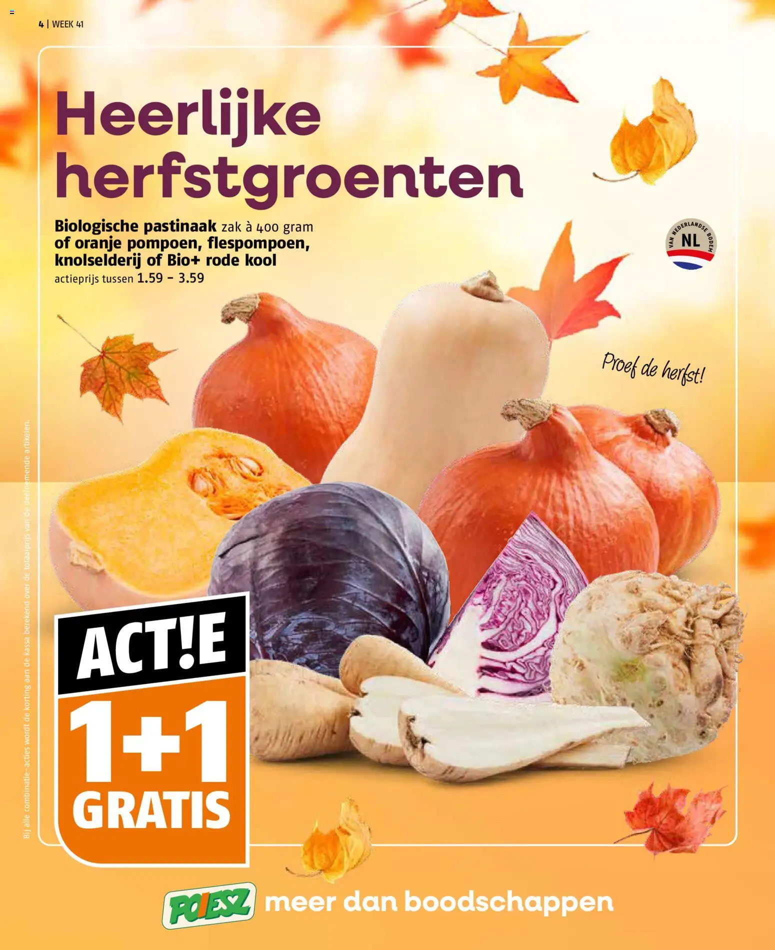 {H1} | Pagina: 4 | Producten: Kool, Zak, Knolselderij