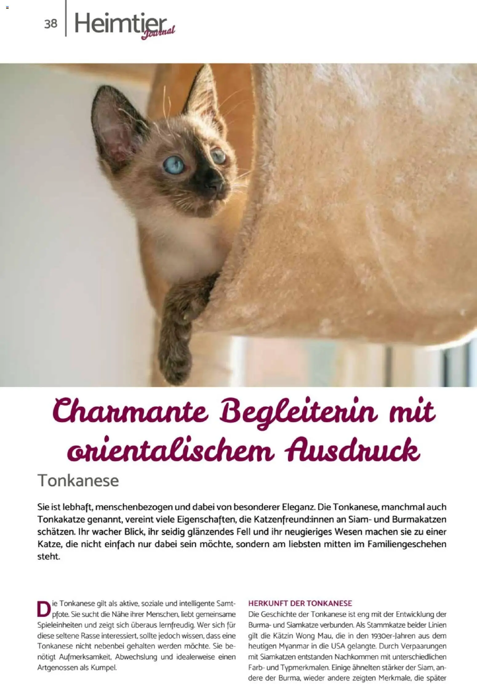 zookauf Heimtier Journal – gültig ab 01.10.2026 | Seite: 38
