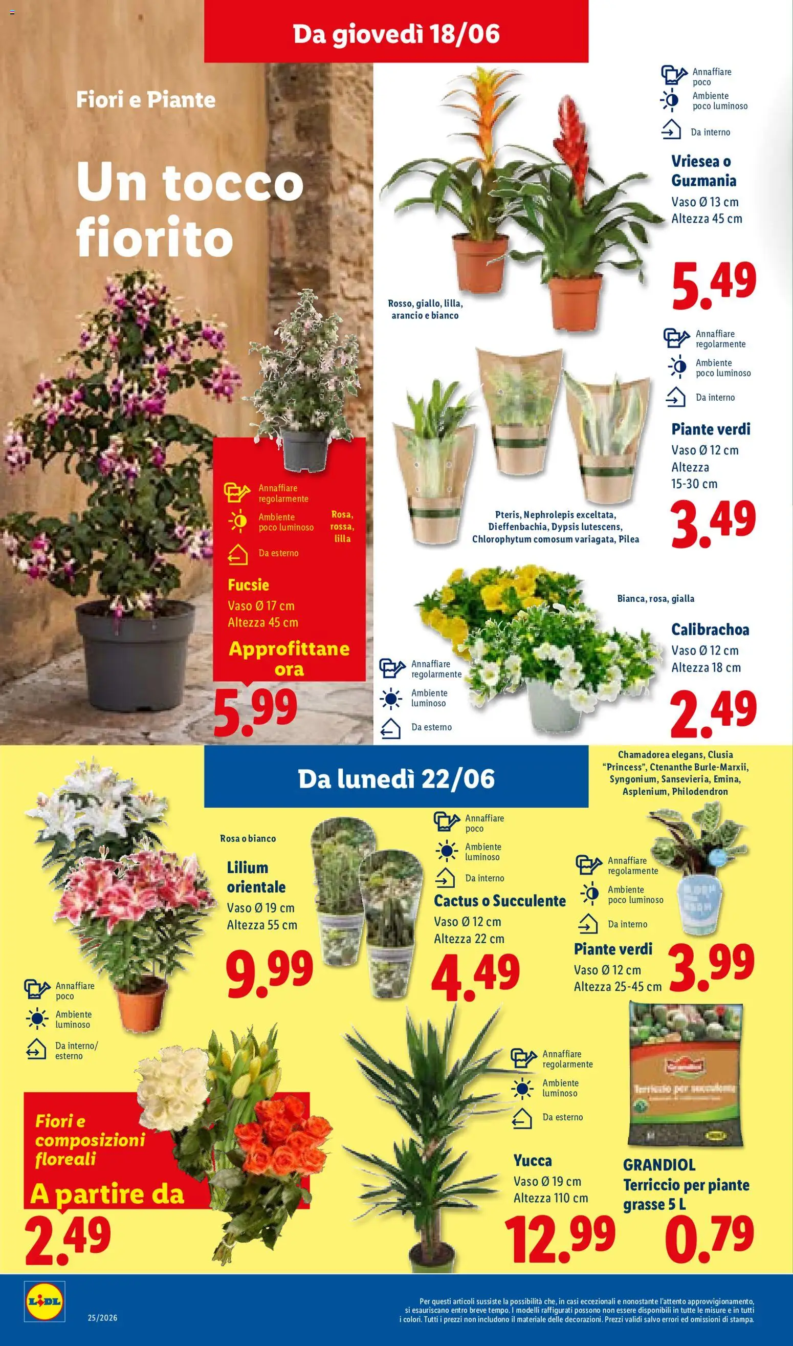 Volantino Lidl del 18.06.2026 | Pagina: 32