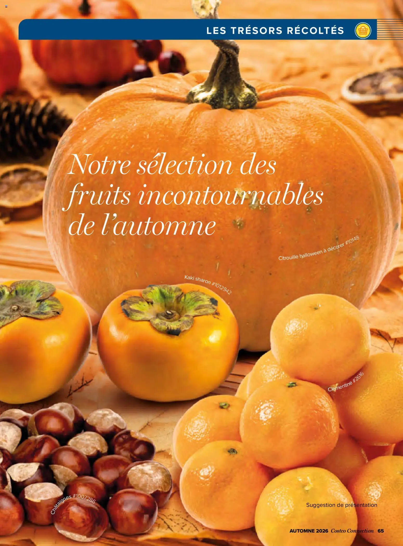{H1} | Page: 65 | Produits: Clémentine, Citrouille, Kaki, Fruits