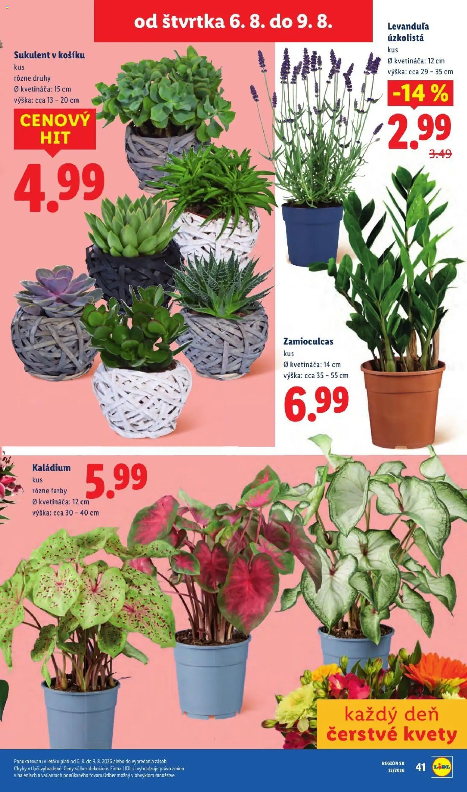 Nové Lidl akcie – leták je platný od 03.08.2026 | Strana: 93