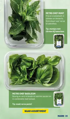 Makro folder - Horeca Magazine - Voorbeeld van een folder van Makro, geldig van 20-04-2026 | Pagina: 15 | Producten: Citroen, Lamsvlees, Salades, Pesto