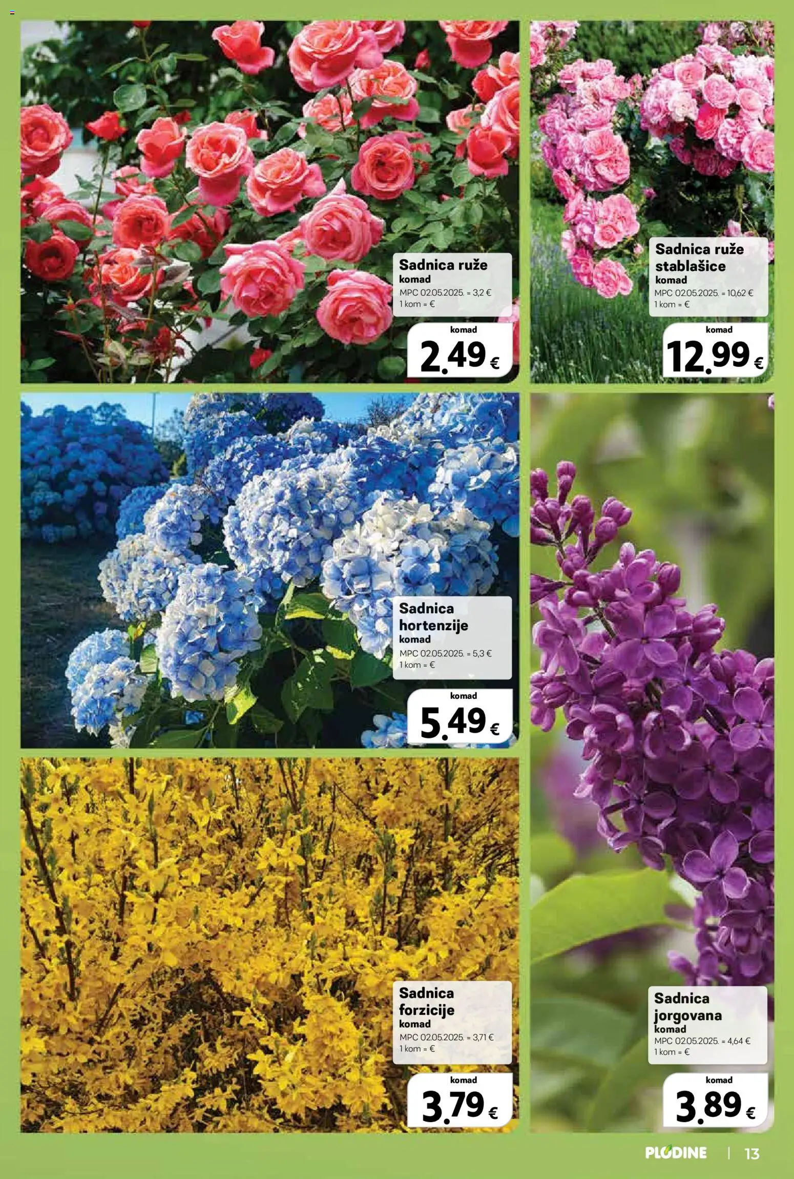 Plodine katalog | vrijedi od 11.03.2026 | Stranica: 13