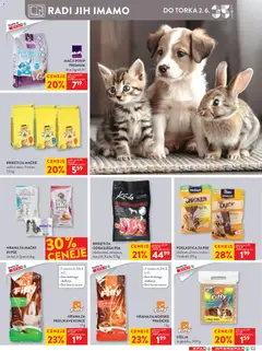 Spar katalog akcije – veljaven od 27.05.2026 | Stran: 41 | Izdelki: Hrana za mačke
