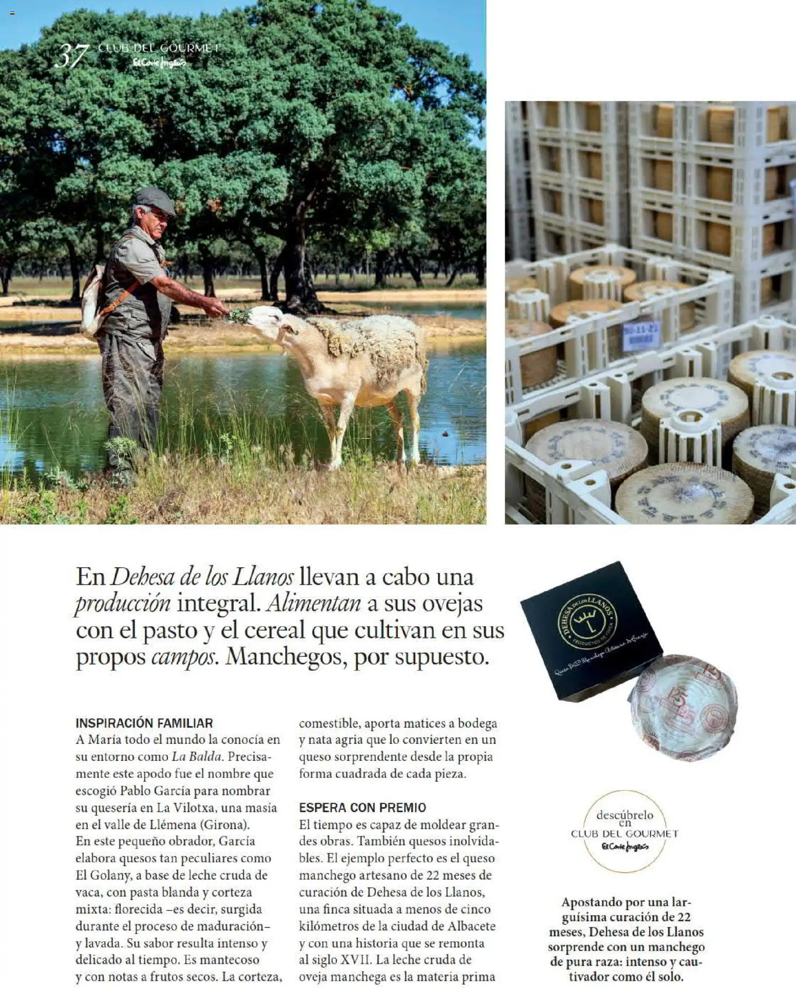 El Corte Inglés Gourmet Magazine │ válido desde el 01/10/2026 | Página: 37 | Productos: Nata agria, Leche, Nata, Pasta