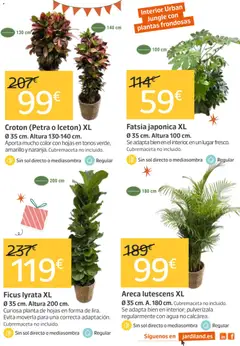 Vista previa Jardiland folleto válido desde el 21.05.2026 | Página: 3