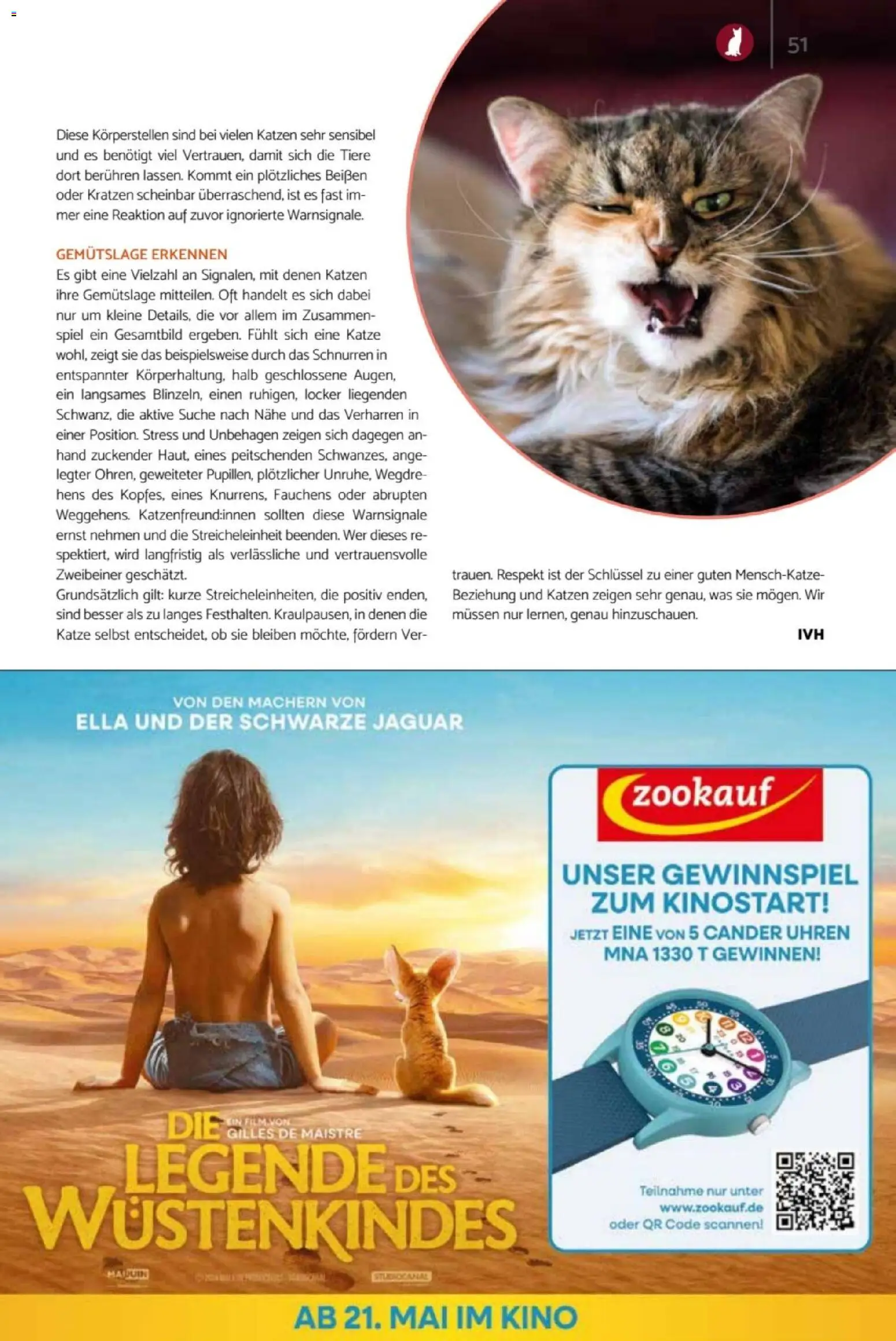 zookauf Heimtier Journal – gültig ab 01.06.2026 | Seite: 51 | Produkte: Spiel