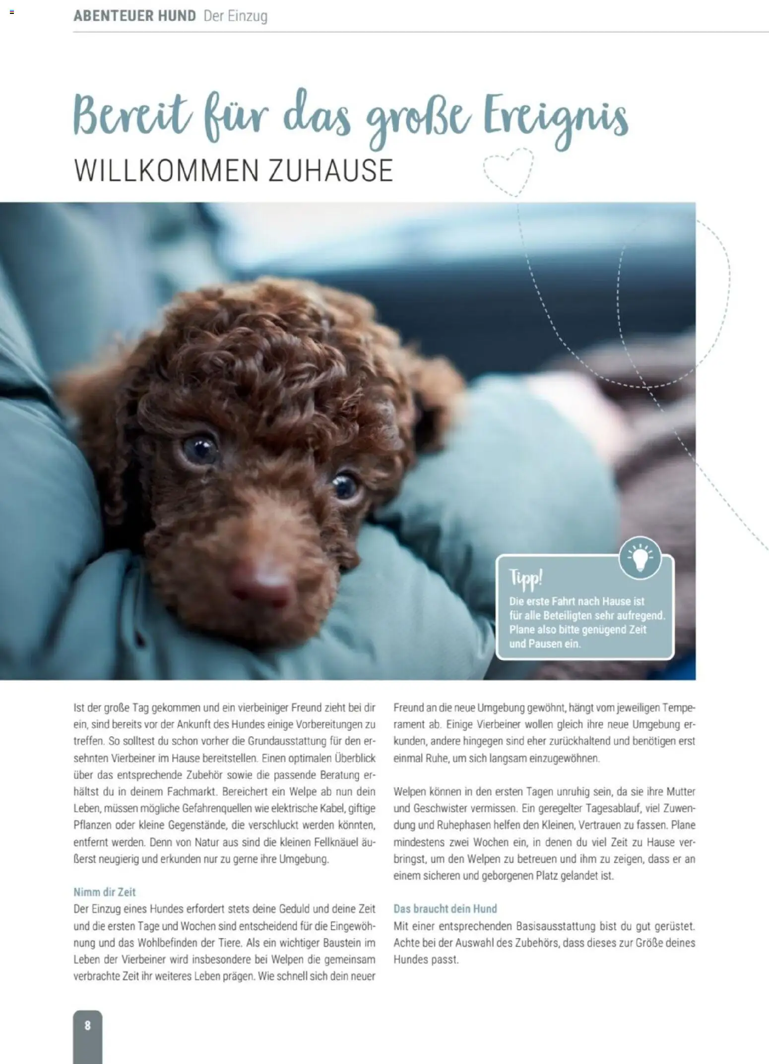 zookauf Themenkatalog Hund – gültig ab 18.05.2026 | Seite: 8