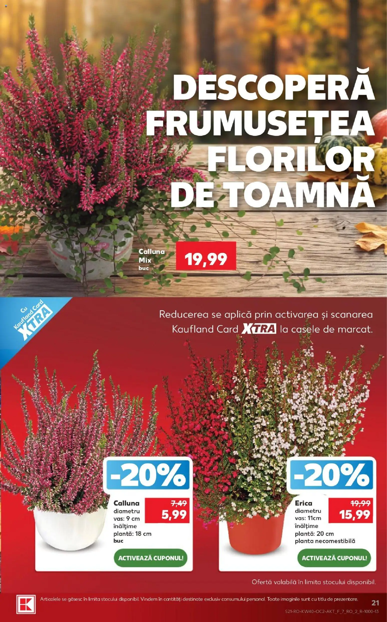Kaufland RO akciós ujság - amely érvényes a következő dátumtól: 2026.09.30. | Oldal: 21 | Termékek: Vas