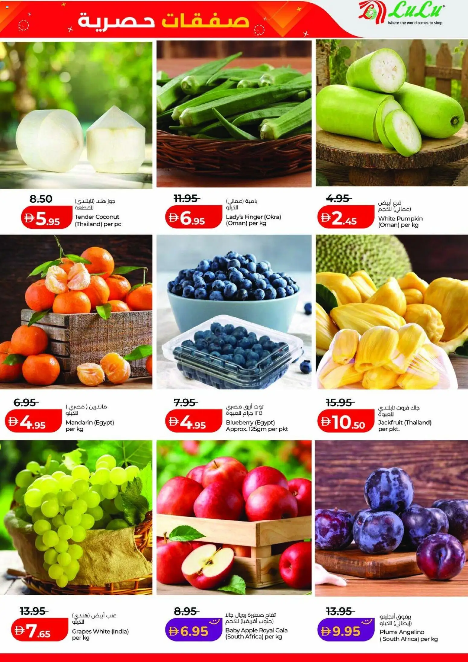 {H1} | Page: 11 | Products: Apple, Grapes, PC
