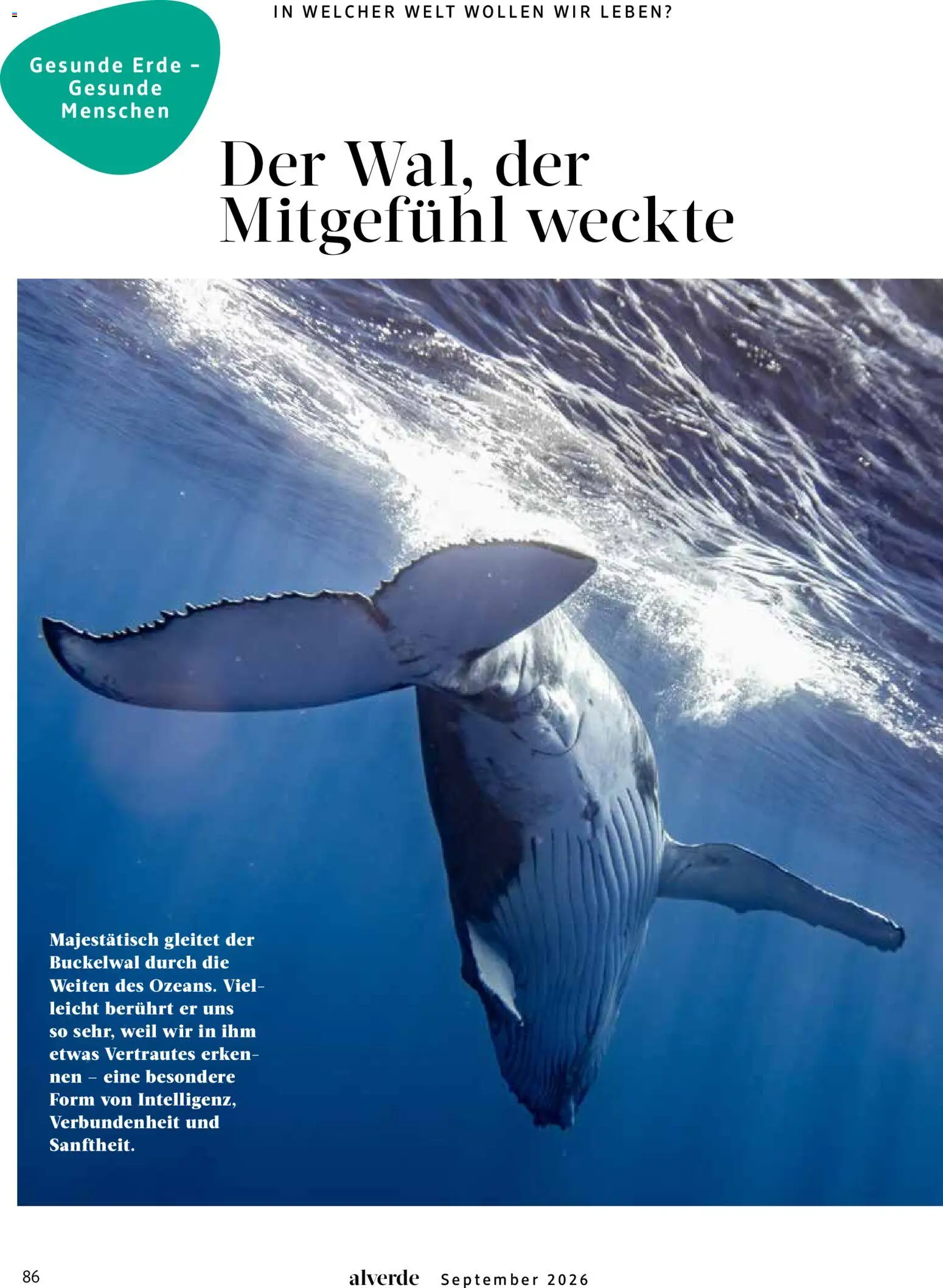 dm drogerie Prospekt – gültig ab 01.09.2026 | Seite: 86