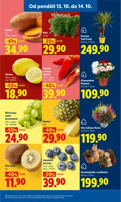 Náhled letáku Lidl leták od 12.10.2026 | Strana: 13