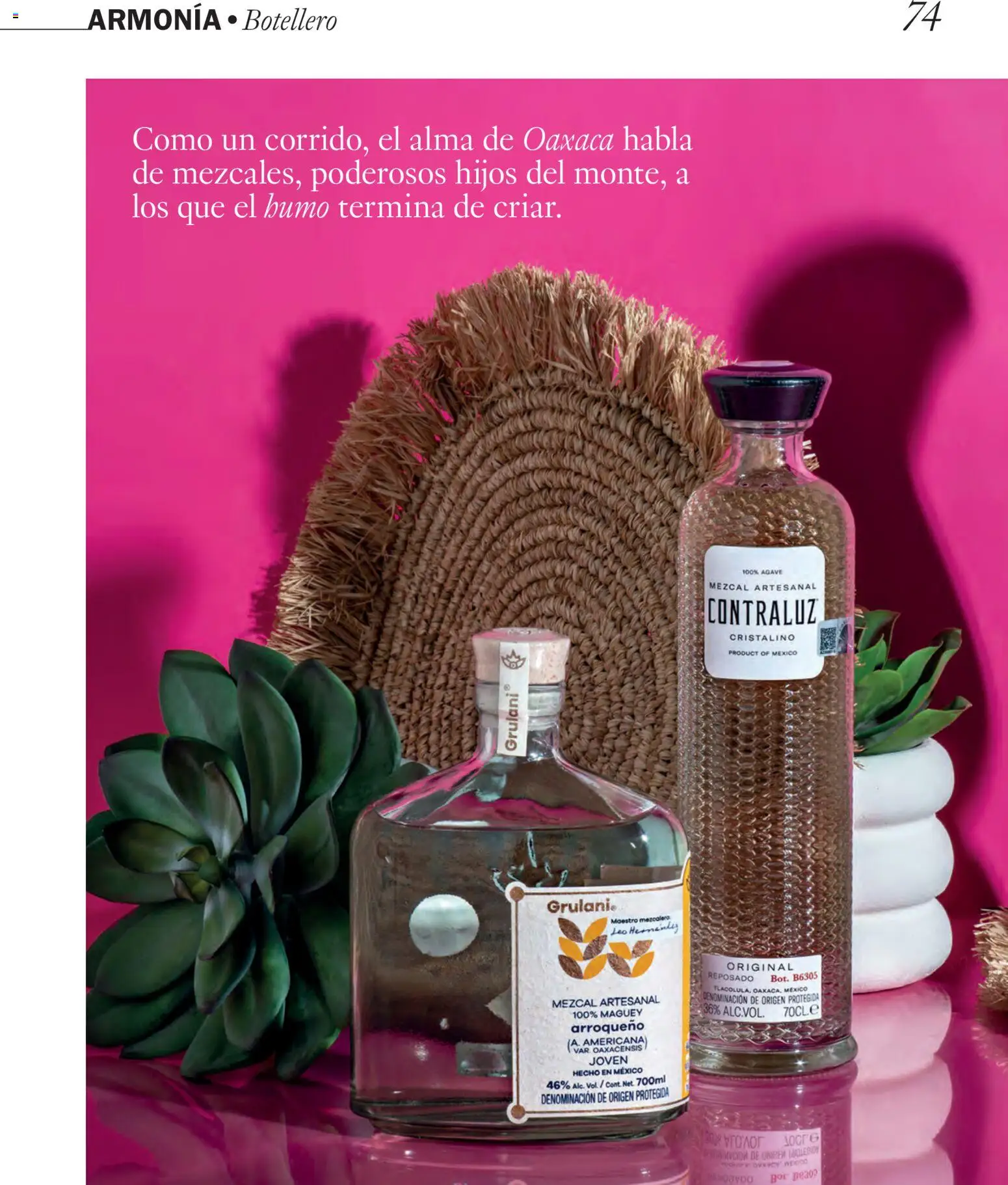 El Corte Inglés ofertas │ válido desde el 22/06/2026 | Página: 74 | Productos: Agave