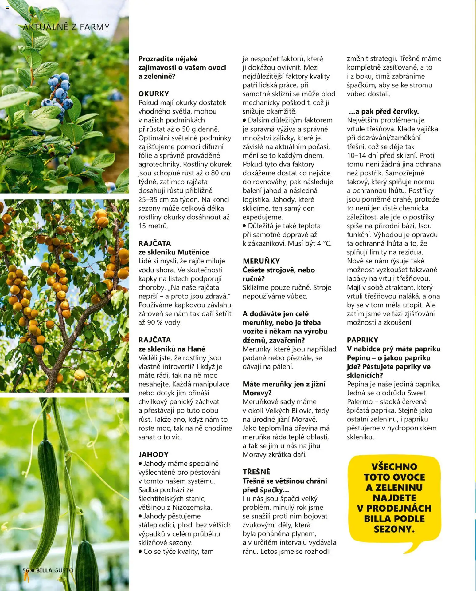 Billa leták - Gusto: Léto 2026 od 01.06.2026 | Strana: 56 | Produkty: Vajíčka, Ovoce, Jahody, Třešně