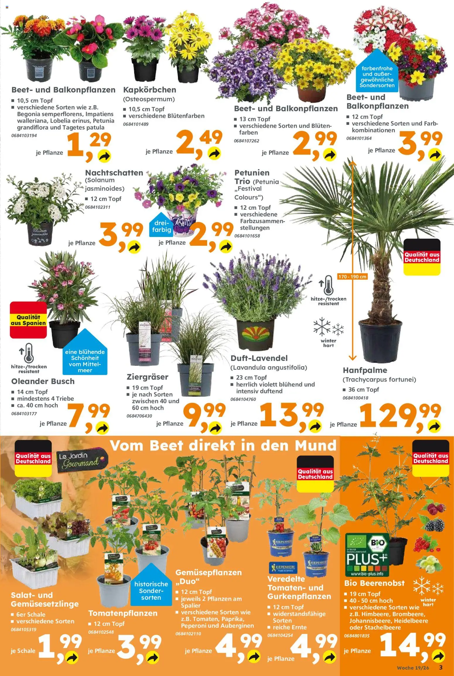 Globus Baumarkt Prospekt Zweibrücken	 – gültig ab 04.05.2026 | Seite: 3 | Produkte: Tomaten, Salat