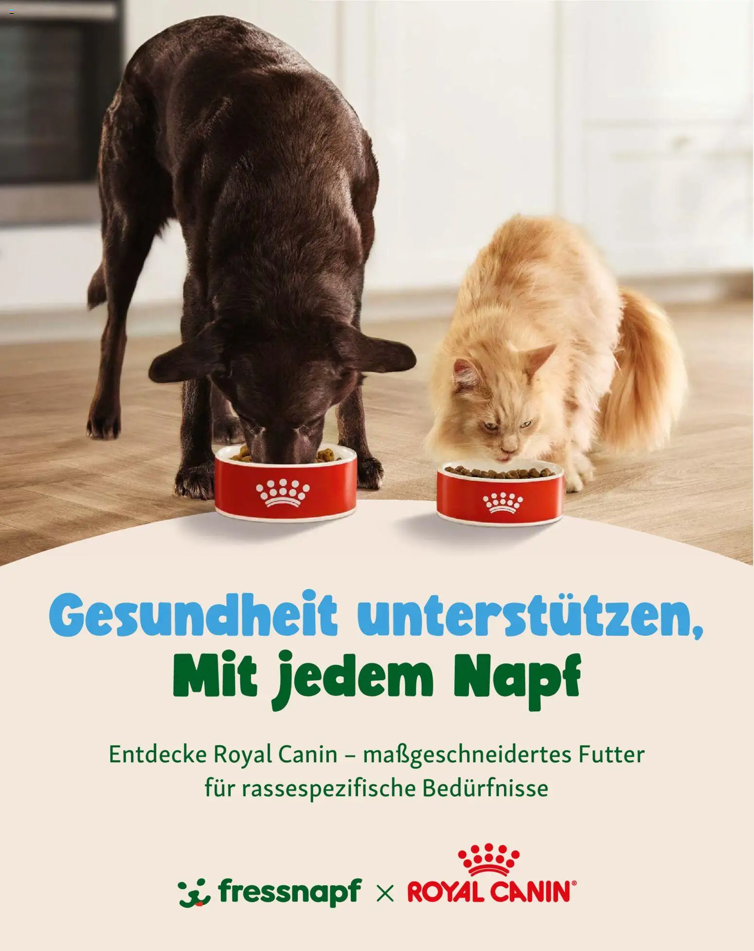 Fressnapf Friends Magazin – gültig ab 01.09.2026 | Seite: 15
