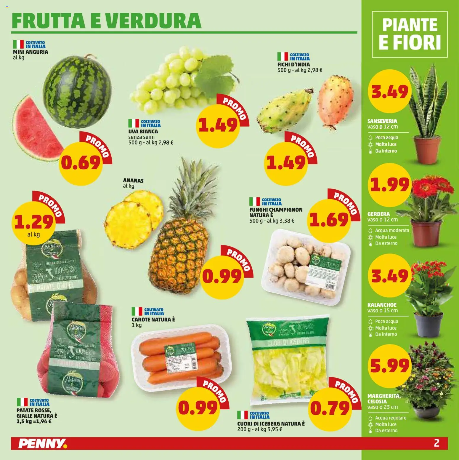 Volantino PENNY del 13/08/2026 | Pagina: 2 | Prodotti: Gerbera, Fichi, Ananas, Funghi