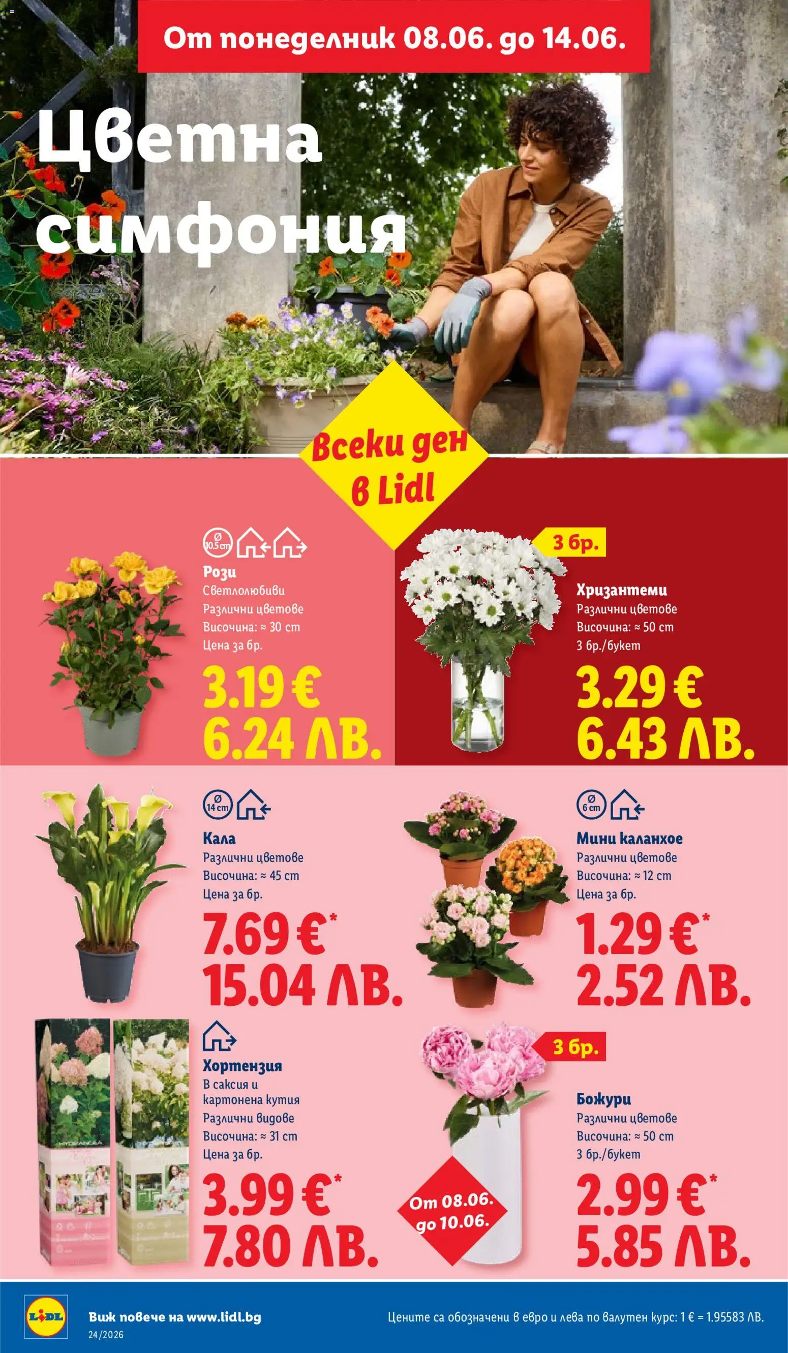 {H1} | Страница: 48 | Продукти: Кутия, Саксия