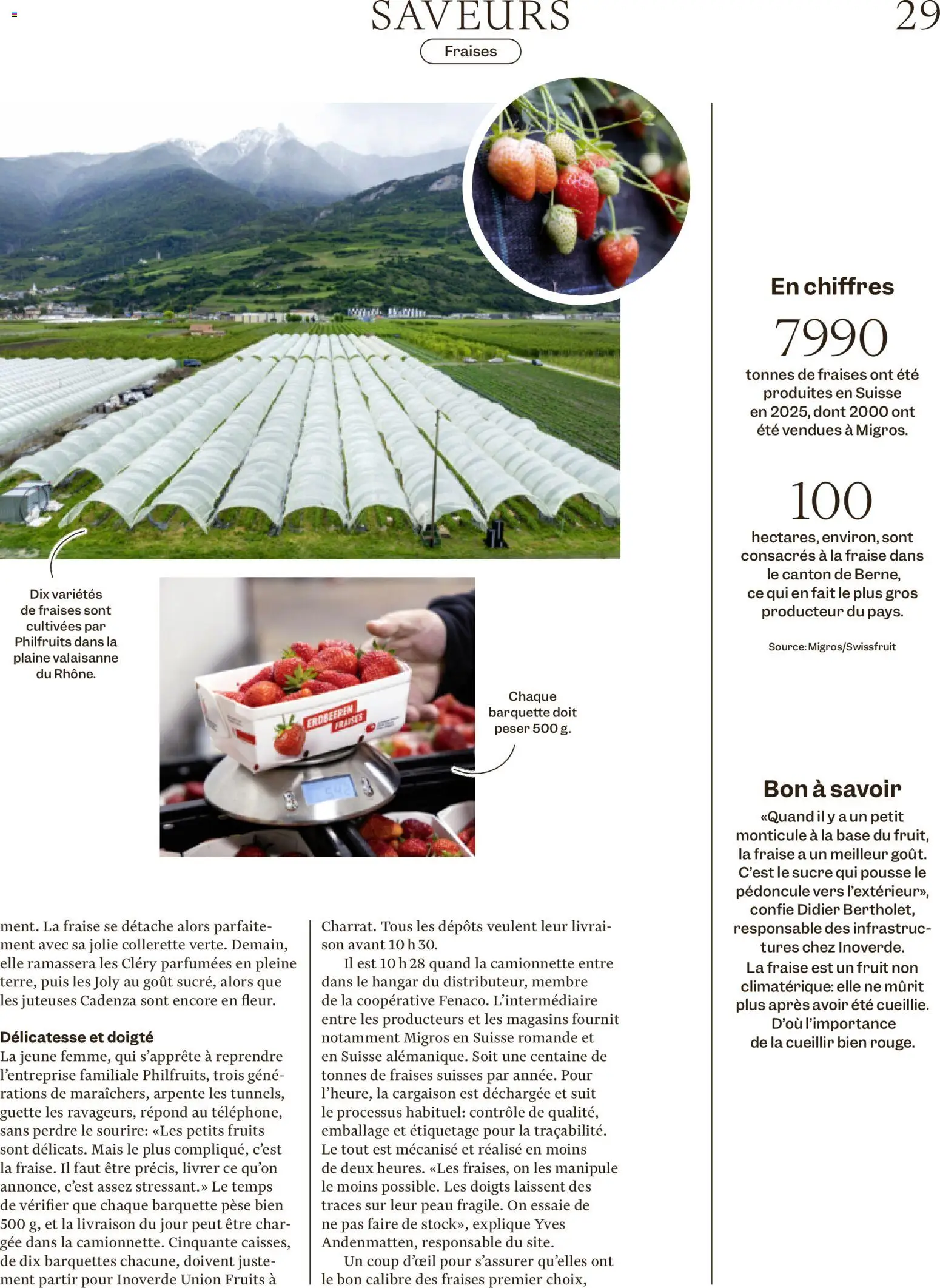 Migros aktionen Magazine FR – gültig ab 03.06.2026 | Seite: 29