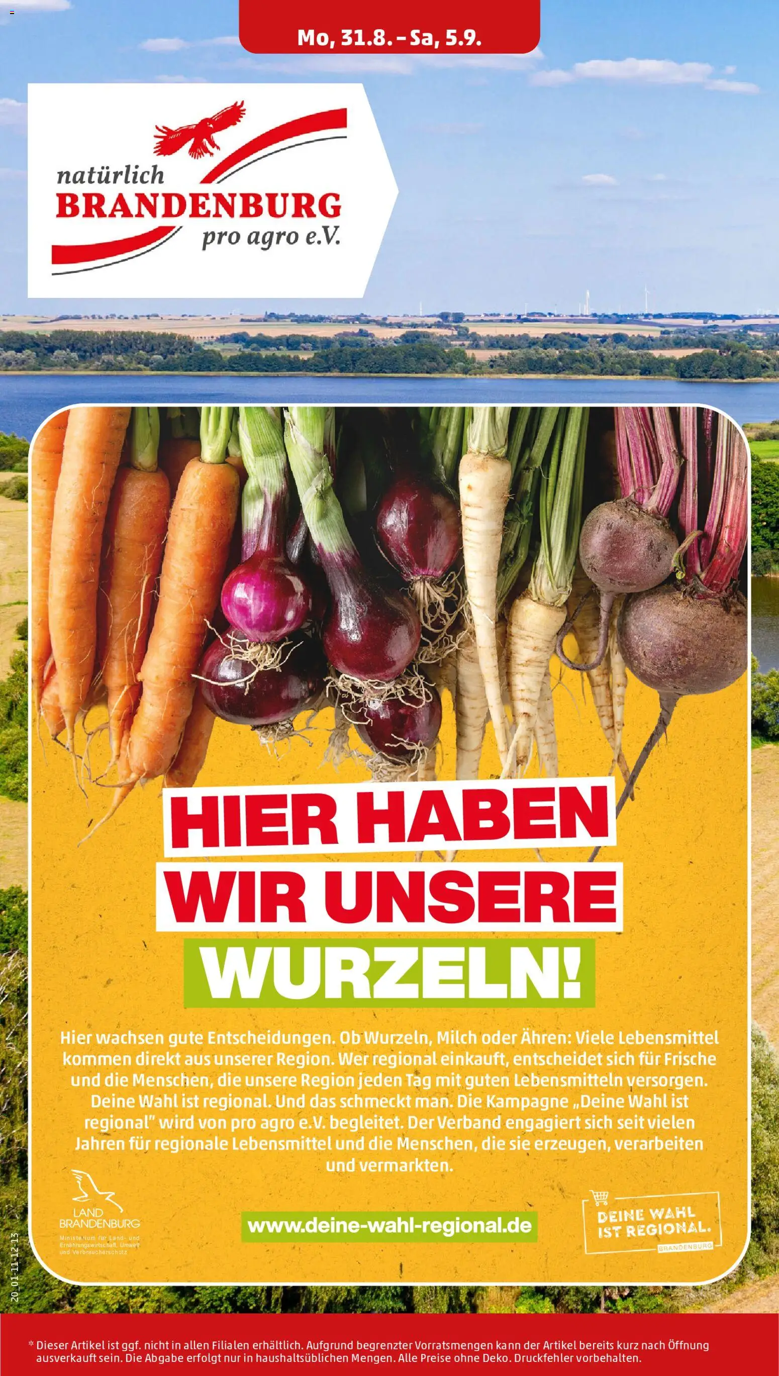 Penny Prospekt – gültig ab 31.08.2026 | Seite: 24