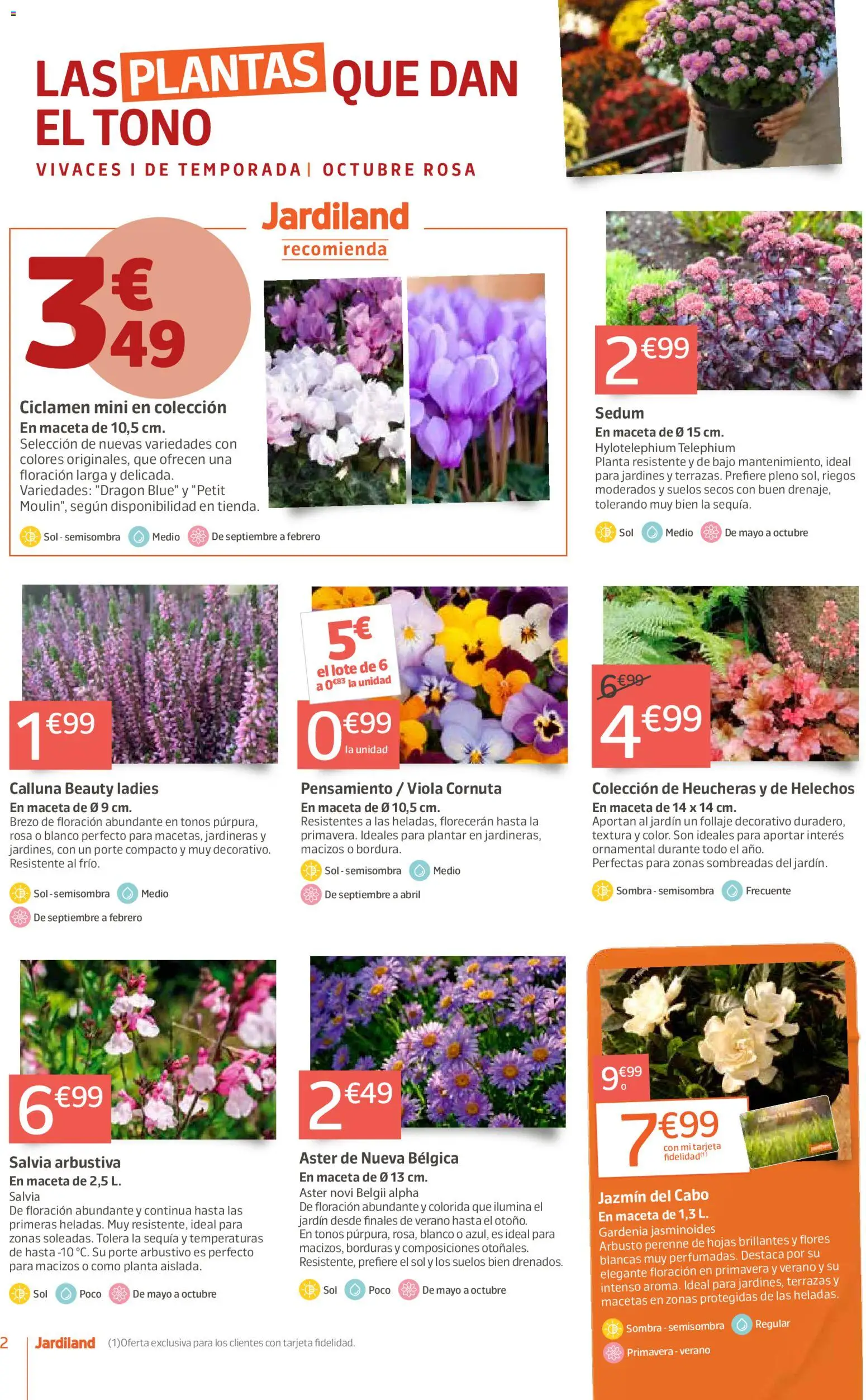 Jardiland folleto │ válido desde el 01/10/2026 | Página: 2 | Productos: Sombra, Flores, Macetas, Maceta