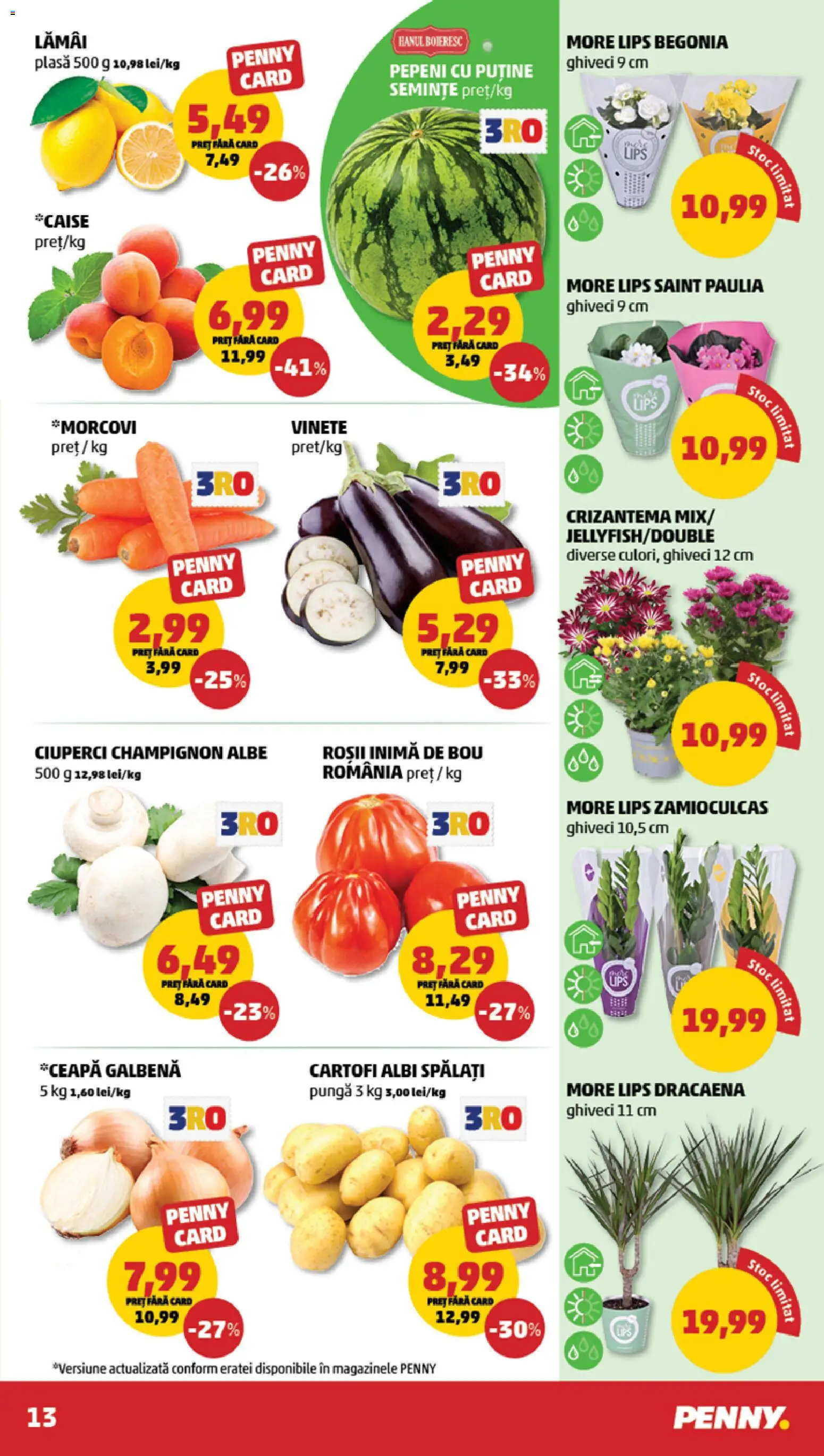 Noul catalog PENNY – valabil de la 15.07.2026 | Pagină: 13 | Produse: Pungă, Lamai, Ceapă galbenă, Roșii