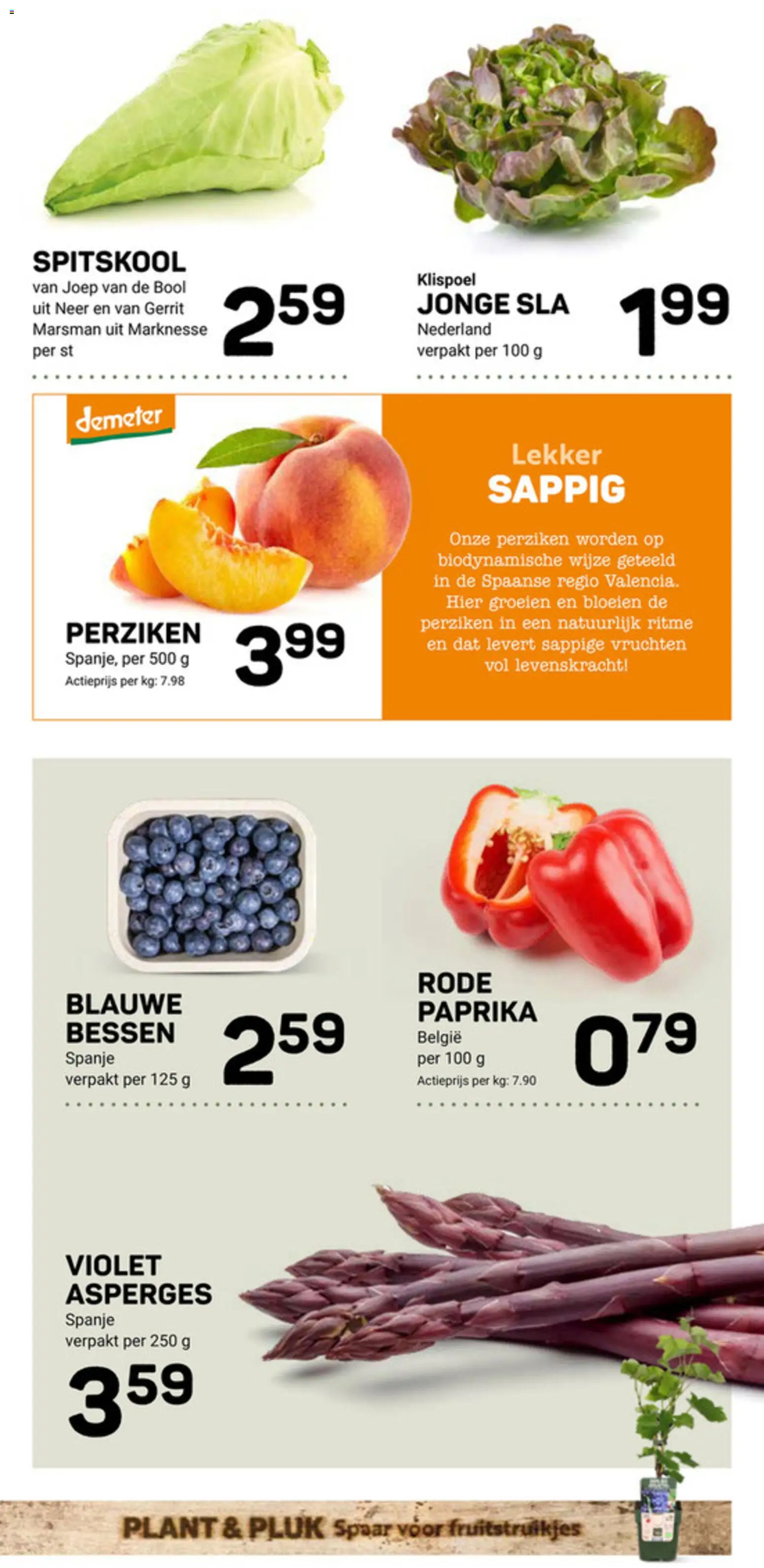 {H1} | Pagina: 11 | Producten: Sla, Asperges, Kész piskótalap, Perziken