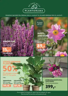 Plantorama - Tilbudsavis gyldig fra 14/08/2026