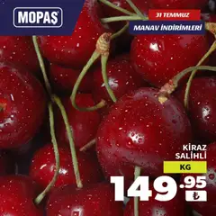 31 Temmuz 2026 tarihinden itibaren geçerli olan Mopaş kataloğu önizlemesi