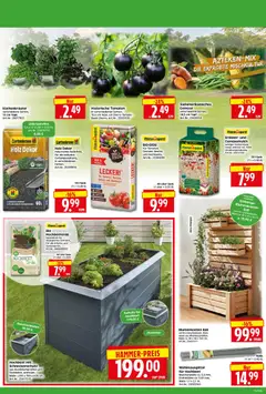 HERKULES Bau & Garten ab 04.05.2026 gültig | Seite: 6 | Produkte: Hochbeet, Tomaten, Gemüse