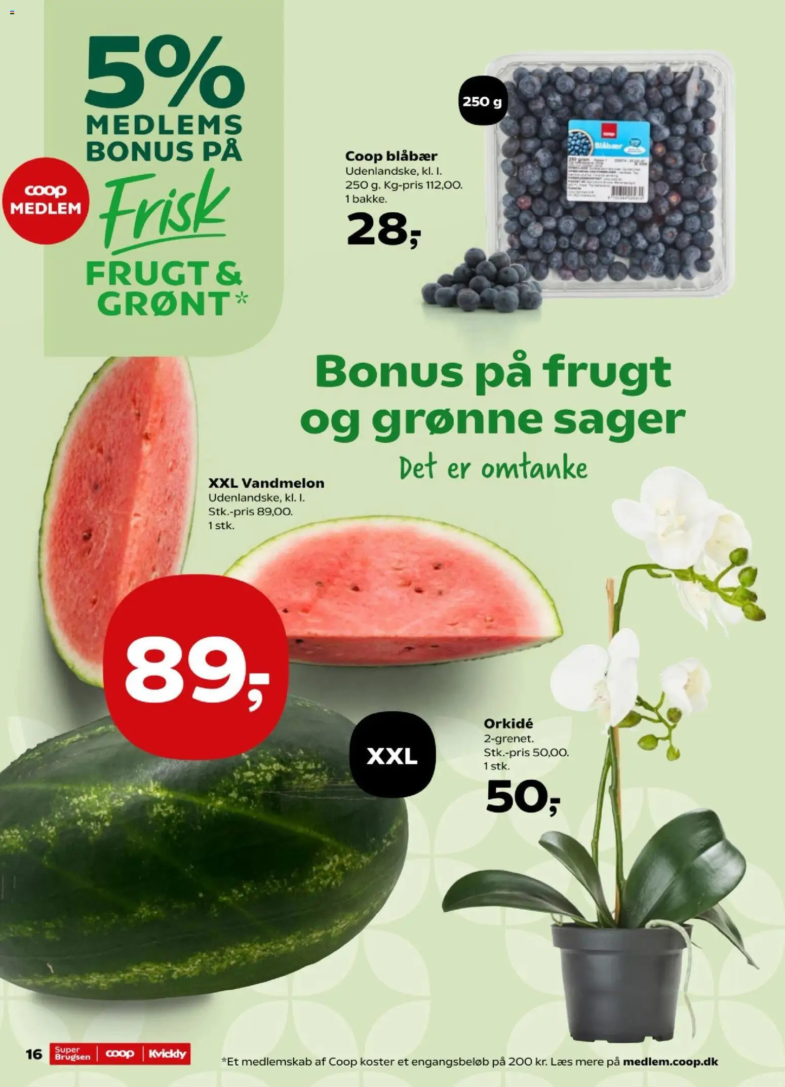 Kvickly tilbudsavis – gyldig fra 19.06.2026 | Side: 16