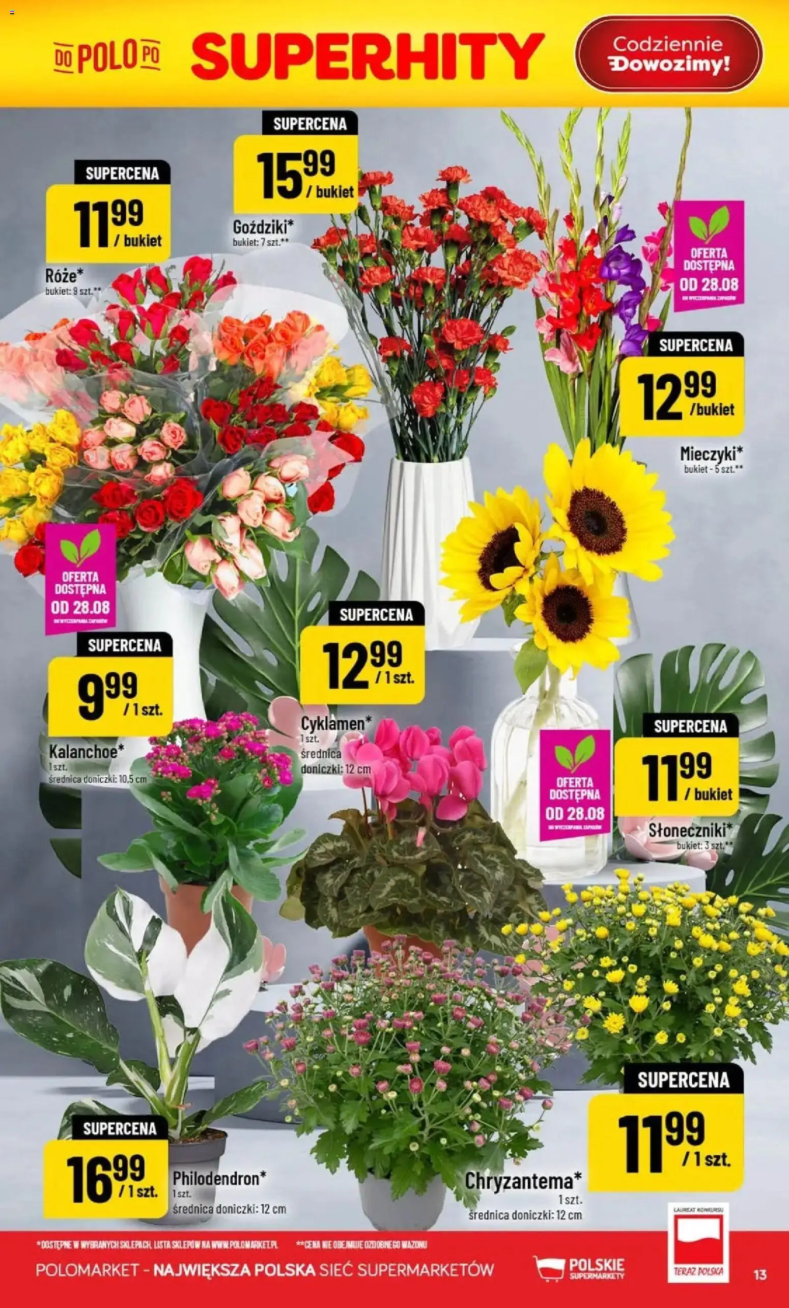 Nowa POLOmarket gazetka od jutra 26.08.2026 | Strona: 13 | Produkty: Doniczki